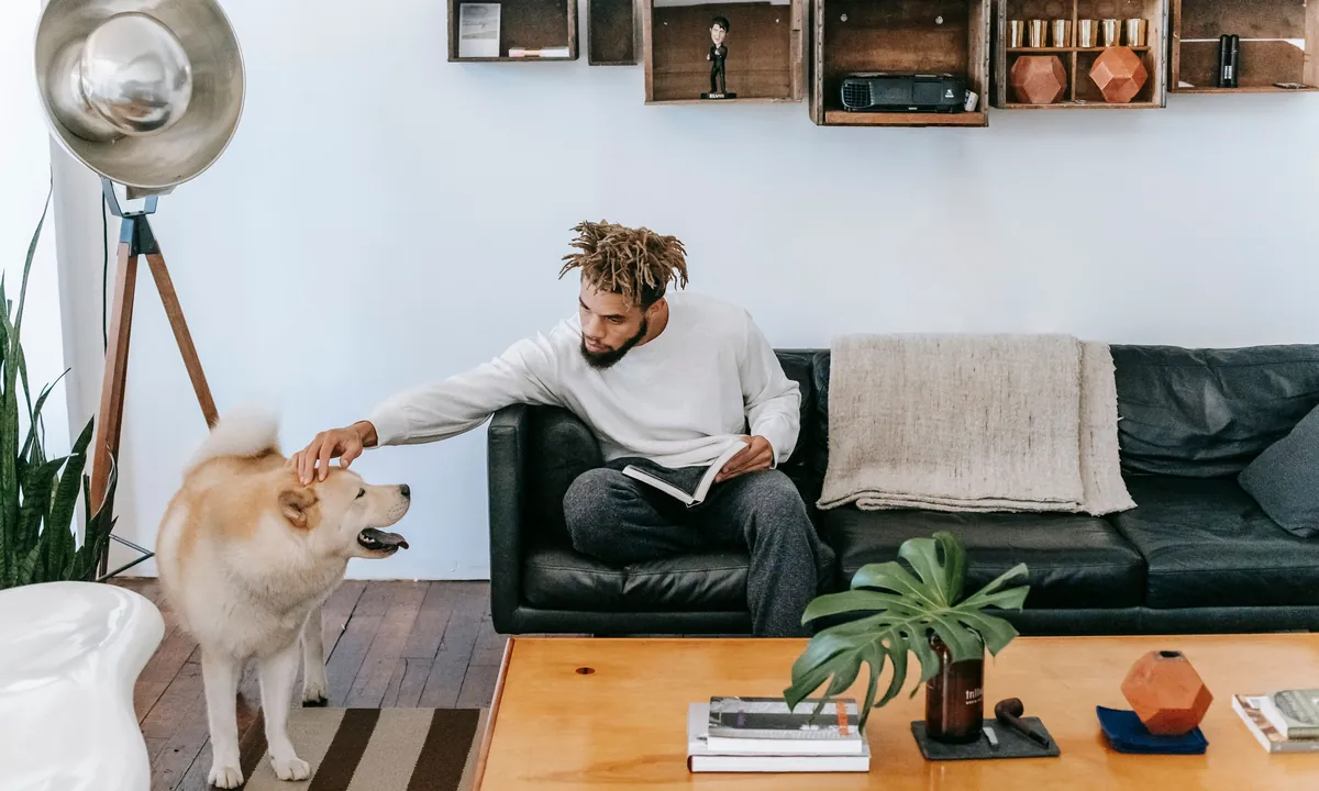 A person sitting on a sofa and gently petting a dog at home
